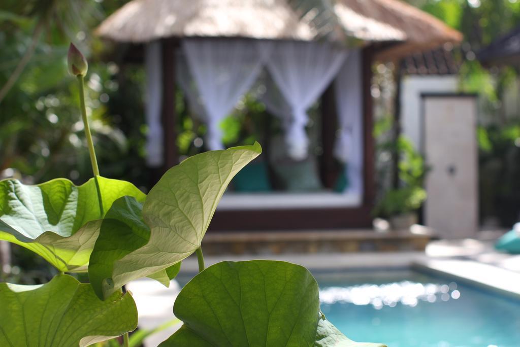 Villa Alu Lima Семиньяк Экстерьер фото